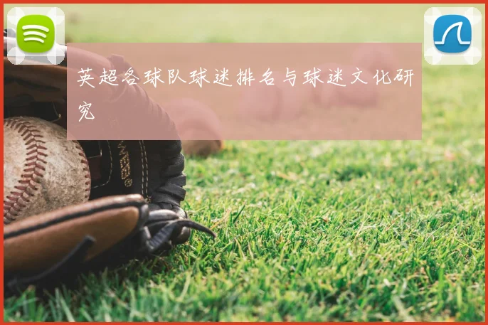 英超各球队球迷排名与球迷文化研究