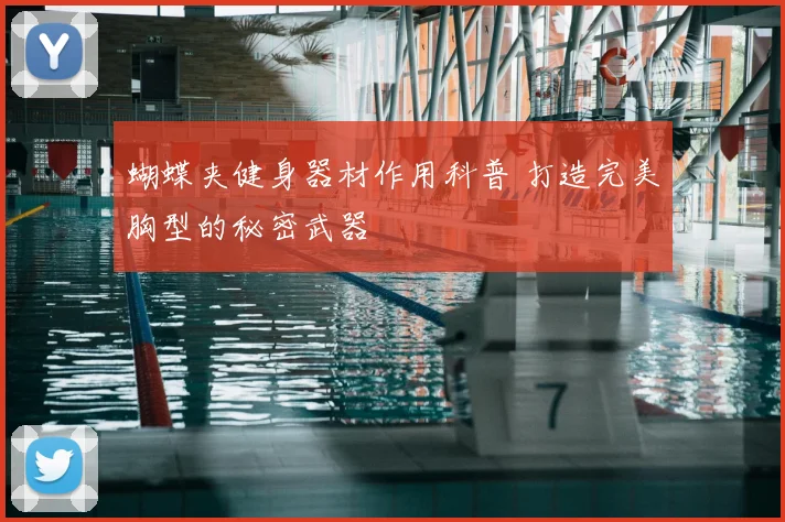 蝴蝶夹健身器材作用科普 打造完美胸型的秘密武器