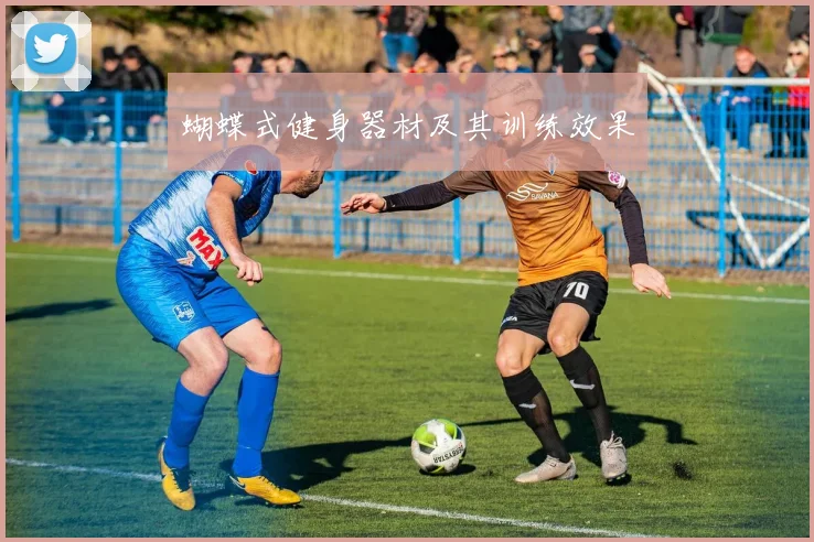 蝴蝶式健身器材及其训练效果