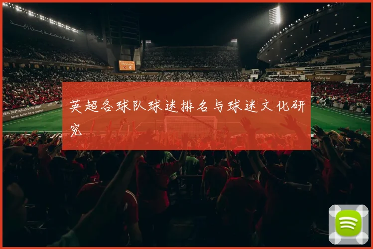 英超各球队球迷排名与球迷文化研究