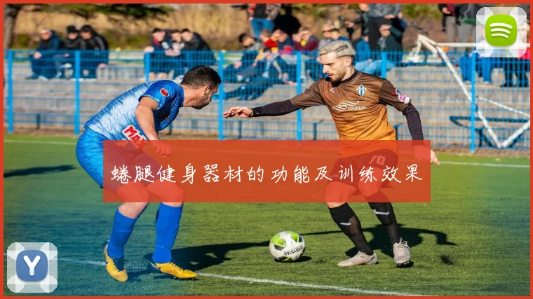 蜷腿健身器材的功能及训练效果